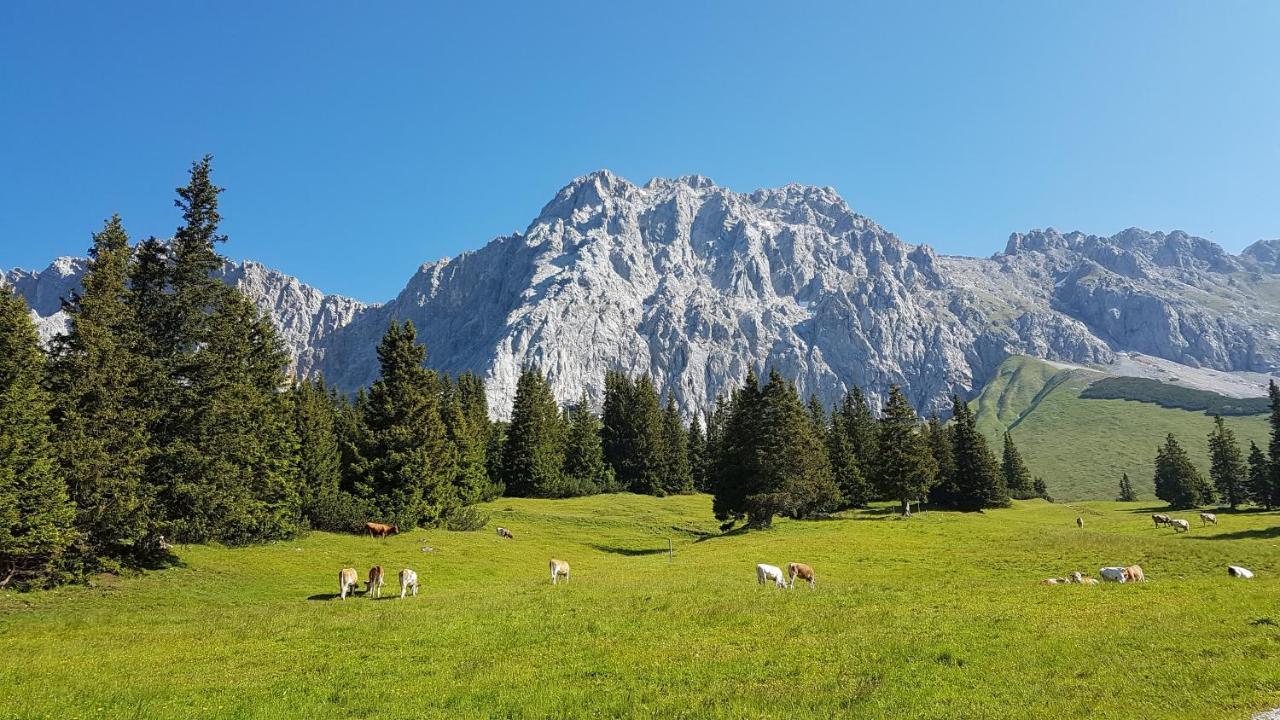 Hotel Alpspitz B&B ไกรน์เนา ภายนอก รูปภาพ